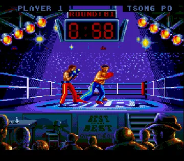 Best of the Best - Championship Karate (Europe) (Beta) screen shot game playing